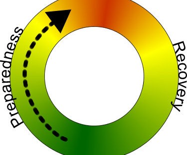 disasterCycle